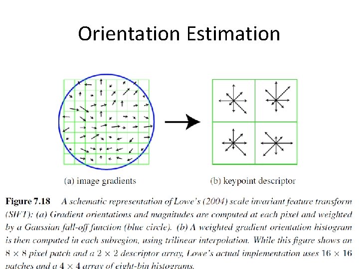 Orientation Estimation 