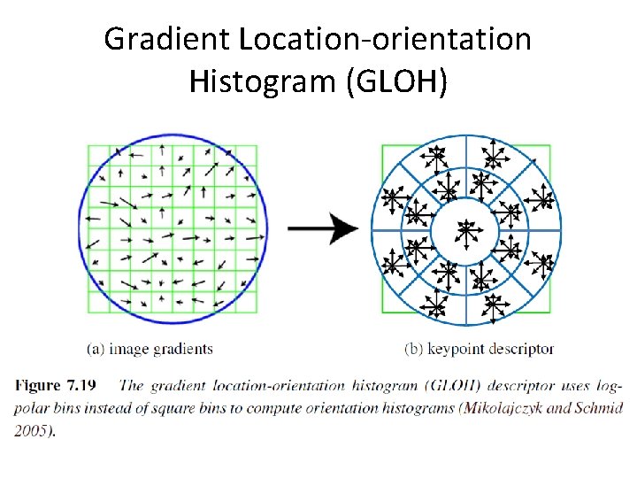 Gradient Location-orientation Histogram (GLOH) 