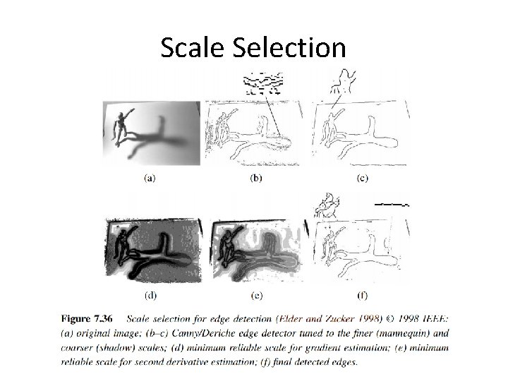 Scale Selection 