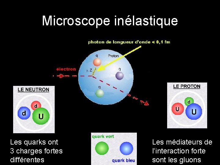 Microscope inélastique Les quarks ont 3 charges fortes différentes Les médiateurs de l’interaction forte