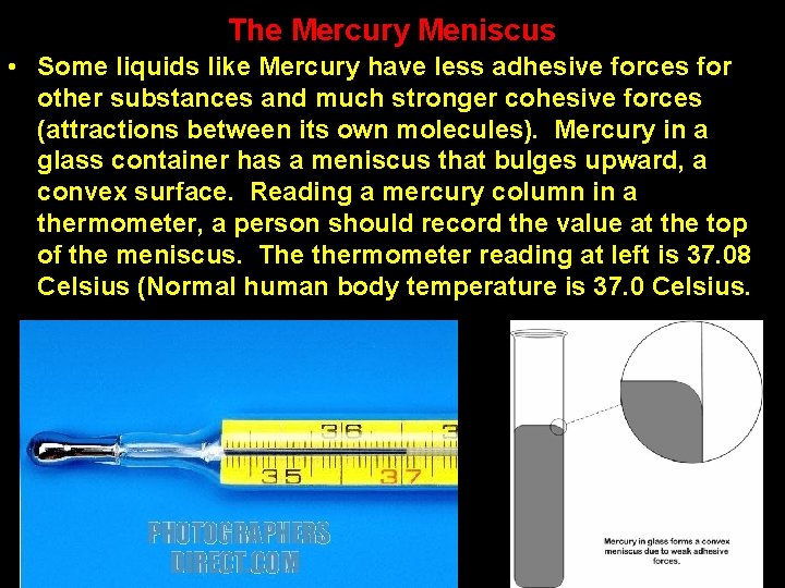 The Mercury Meniscus • Some liquids like Mercury have less adhesive forces for other