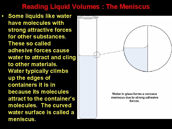 Reading Liquid Volumes : The Meniscus • Some liquids like water have molecules with
