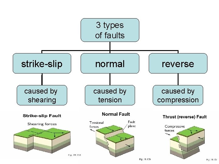 3 types of faults strike-slip normal reverse caused by shearing caused by tension caused