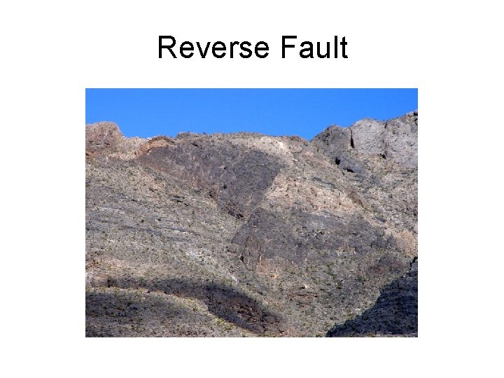 Reverse Fault 