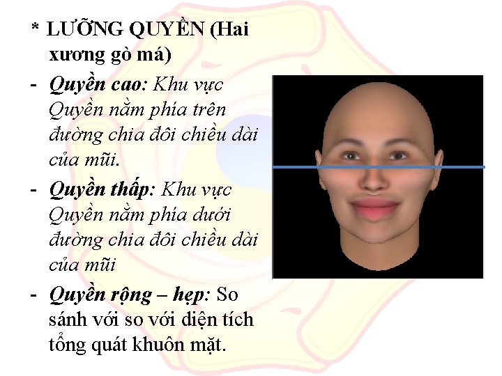 * LƯỠNG QUYỀN (Hai xương gò má) - Quyền cao: Khu vực Quyền nằm