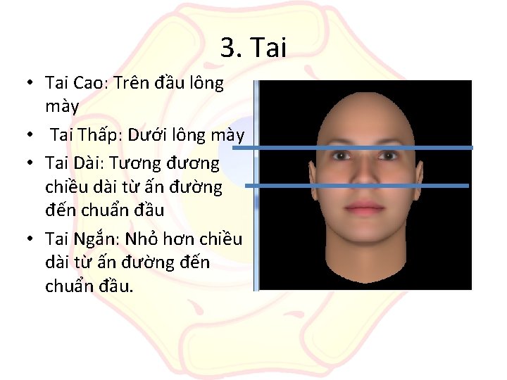 3. Tai • Tai Cao: Trên đầu lông mày • Tai Thấp: Dưới lông