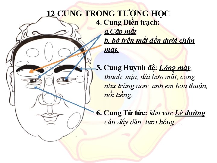 12 CUNG TRONG TƯỚNG HỌC 4. Cung Điền trạch: a. Cặp mắt b. bờ