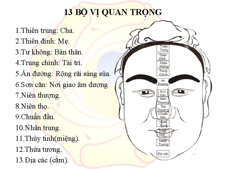 13 BỘ VỊ QUAN TRỌNG 1. Thiên trung: Cha. 2. Thiên đình: Mẹ. 3.