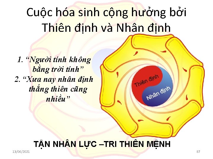 Cuộc hóa sinh cộng hưởng bởi Thiên định và Nhân định 1. “Người tính