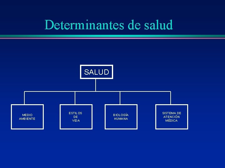 Determinantes de salud SALUD MEDIO AMBIENTE ESTILOS DE VIDA BIOLOGÍA HUMANA SISTEMA DE ATENCIÓN Determinantes de salud SALUD MEDIO AMBIENTE ESTILOS DE VIDA BIOLOGÍA HUMANA SISTEMA DE ATENCIÓN