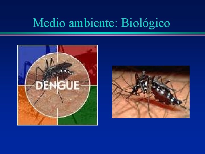 Medio ambiente: Biológico Medio ambiente: Biológico