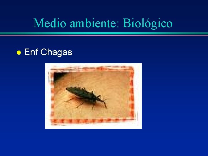 Medio ambiente: Biológico l Enf Chagas Medio ambiente: Biológico l Enf Chagas