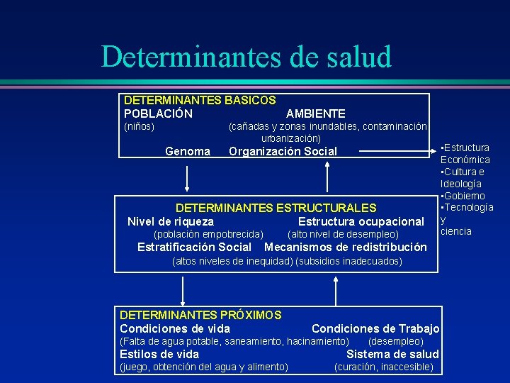Determinantes de salud DETERMINANTES BASICOS POBLACIÓN AMBIENTE (niños) (cañadas y zonas inundables, contaminación urbanización) Determinantes de salud DETERMINANTES BASICOS POBLACIÓN AMBIENTE (niños) (cañadas y zonas inundables, contaminación urbanización)