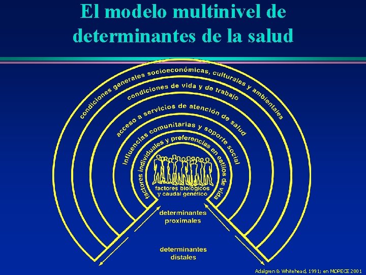 El modelo multinivel de determinantes de la salud Adalgren & Whitehead, 1991; en MOPECE El modelo multinivel de determinantes de la salud Adalgren & Whitehead, 1991; en MOPECE