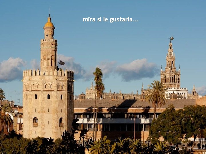 mira si le gustaría. . . 