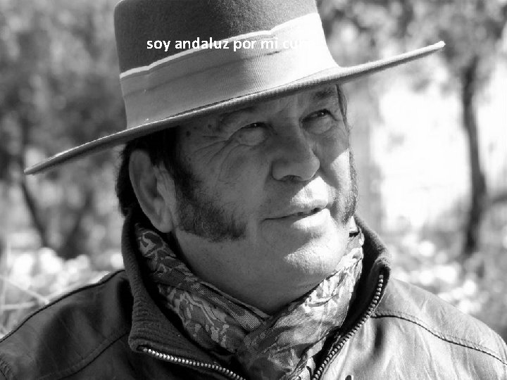 soy andaluz por mi cuna 