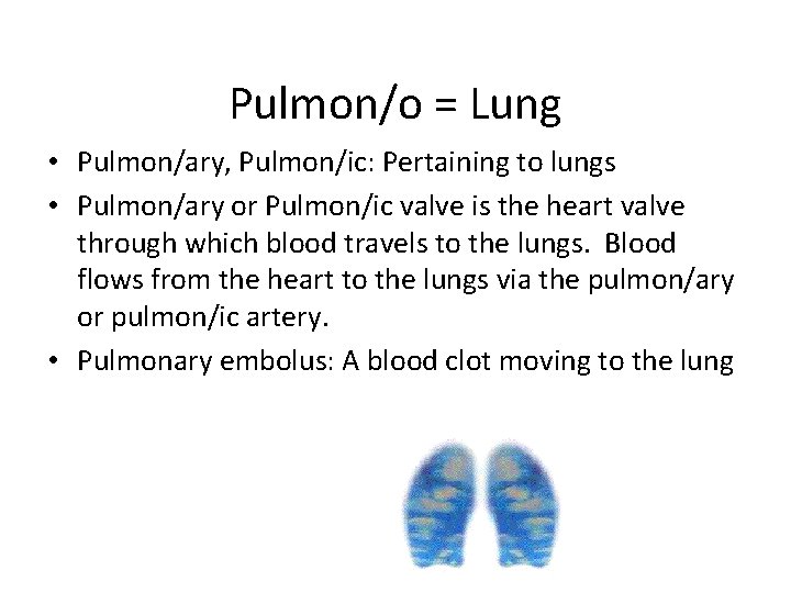 Pulmon/o = Lung • Pulmon/ary, Pulmon/ic: Pertaining to lungs • Pulmon/ary or Pulmon/ic valve
