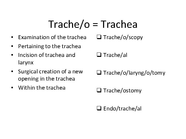 Trache/o = Trachea • Examination of the trachea • Pertaining to the trachea •