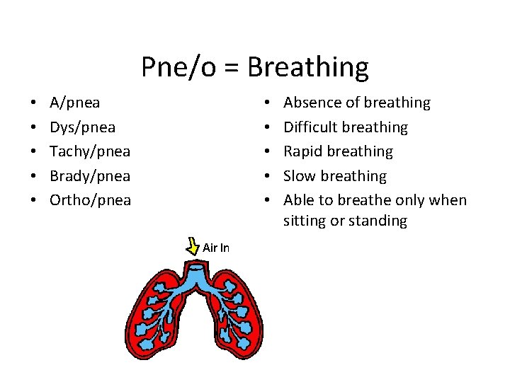 Pne/o = Breathing • • • A/pnea Dys/pnea Tachy/pnea Brady/pnea Ortho/pnea • • •