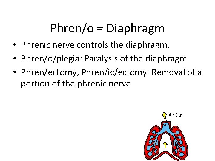 Phren/o = Diaphragm • Phrenic nerve controls the diaphragm. • Phren/o/plegia: Paralysis of the