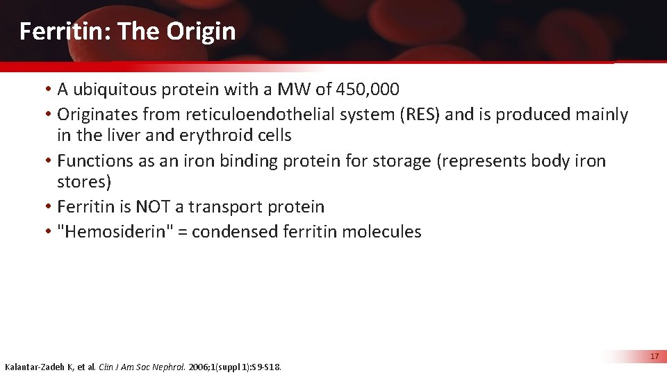 Ferritin: The Origin • A ubiquitous protein with a MW of 450, 000 •