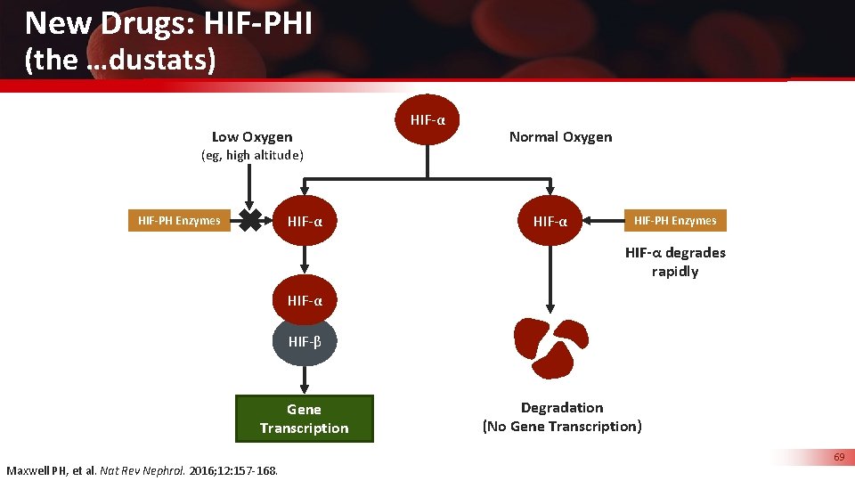 New Drugs: HIF-PHI (the …dustats) Low Oxygen (eg, high altitude) HIF-α HIF-PH Enzymes HIF-α