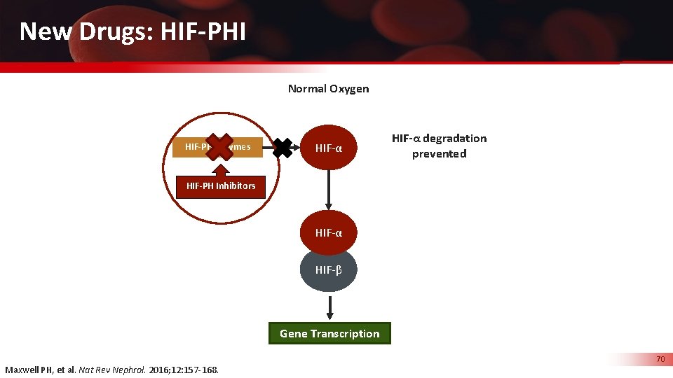New Drugs: HIF-PHI Normal Oxygen HIF-PH Enzymes HIF-α degradation prevented HIF-PH Inhibitors HIF-α HIF-β