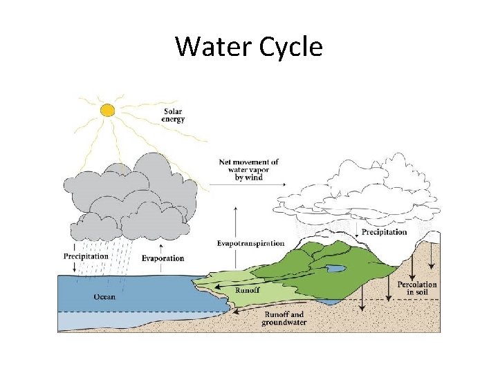 Water Cycle 