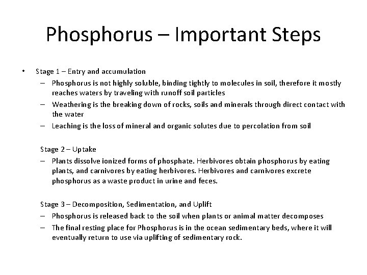 Phosphorus – Important Steps • Stage 1 – Entry and accumulation – Phosphorus is