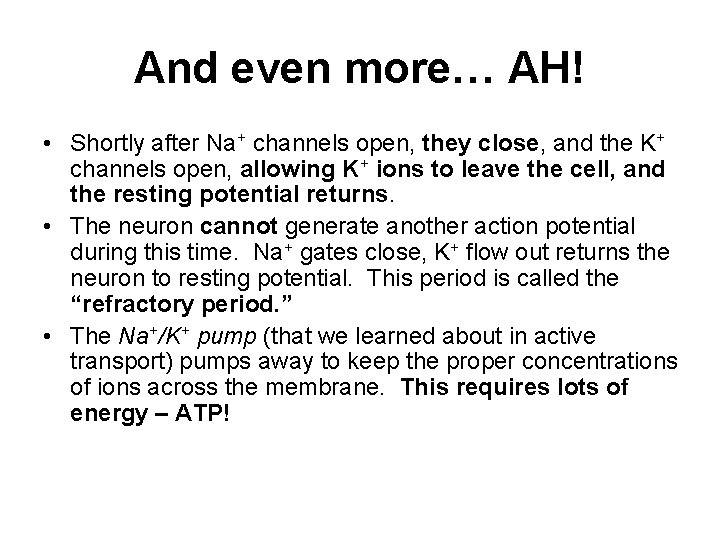And even more… AH! • Shortly after Na+ channels open, they close, and the And even more… AH! • Shortly after Na+ channels open, they close, and the
