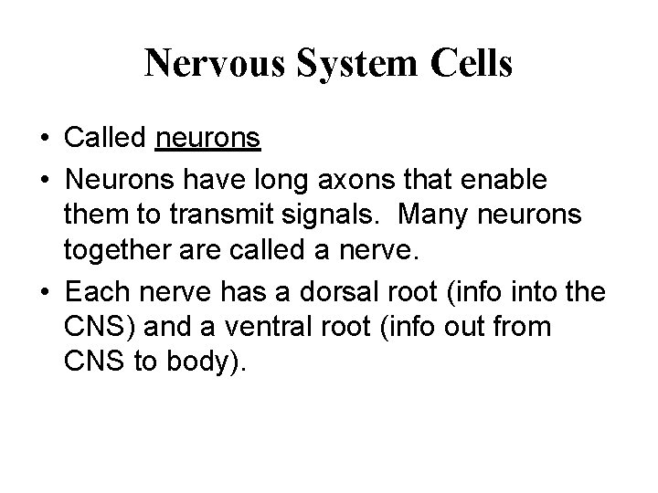 Nervous System Cells • Called neurons • Neurons have long axons that enable them