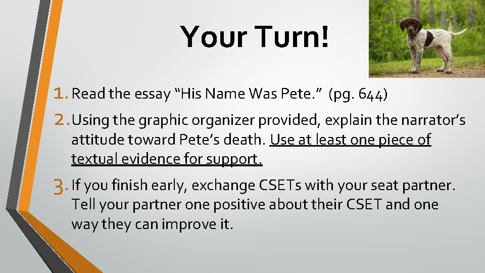 Your Turn! 1. Read the essay “His Name Was Pete. ” (pg. 644) 2.
