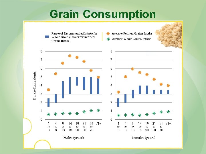 Grain Consumption 