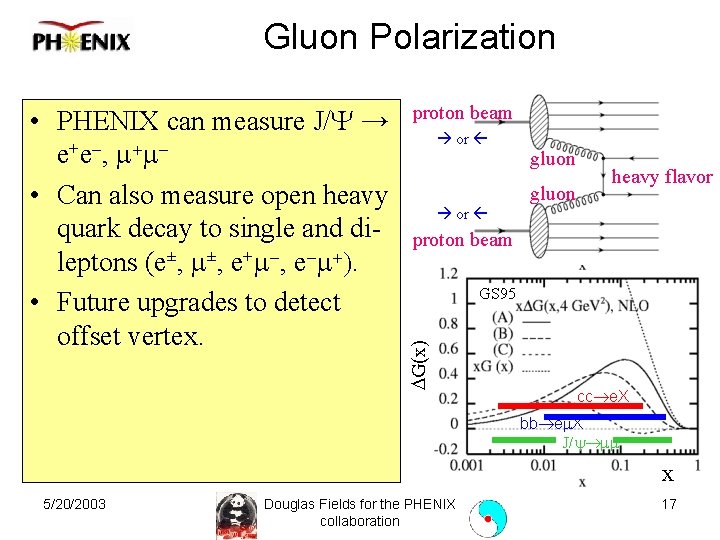 Gluon Polarization proton beam or gluon heavy flavor proton beam GS 95 DG(x) •