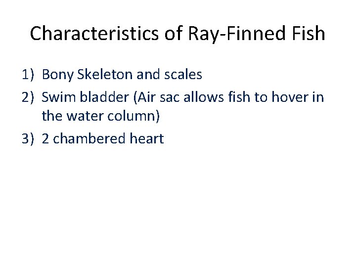 Characteristics of Ray-Finned Fish 1) Bony Skeleton and scales 2) Swim bladder (Air sac