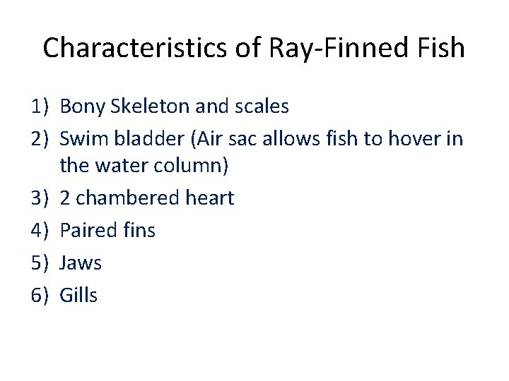 Characteristics of Ray-Finned Fish 1) Bony Skeleton and scales 2) Swim bladder (Air sac