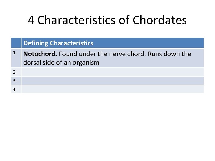 4 Characteristics of Chordates 1 2 3 4 Defining Characteristics Notochord. Found under the