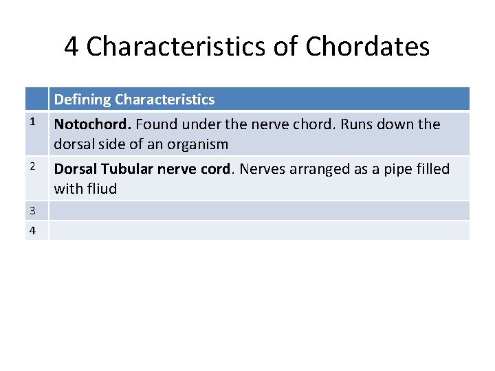 4 Characteristics of Chordates 1 2 3 4 Defining Characteristics Notochord. Found under the