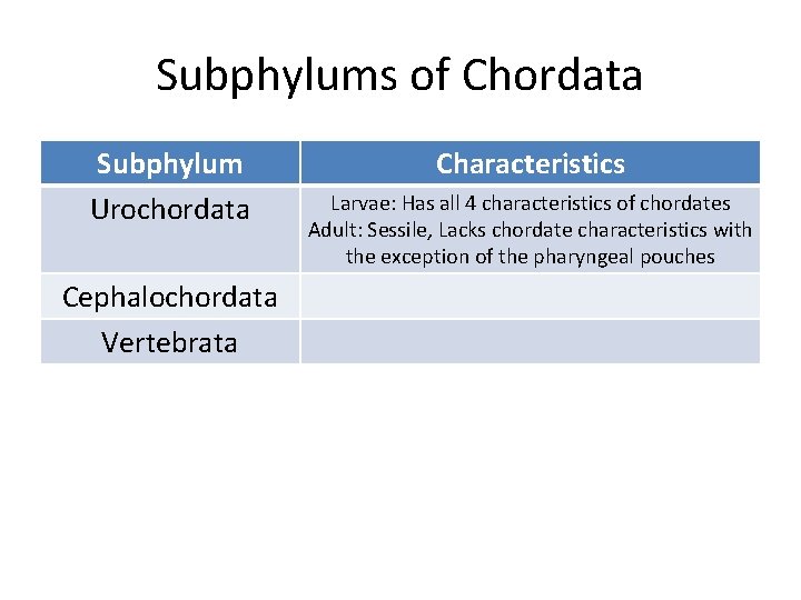 Subphylums of Chordata Subphylum Urochordata Cephalochordata Vertebrata Characteristics Larvae: Has all 4 characteristics of