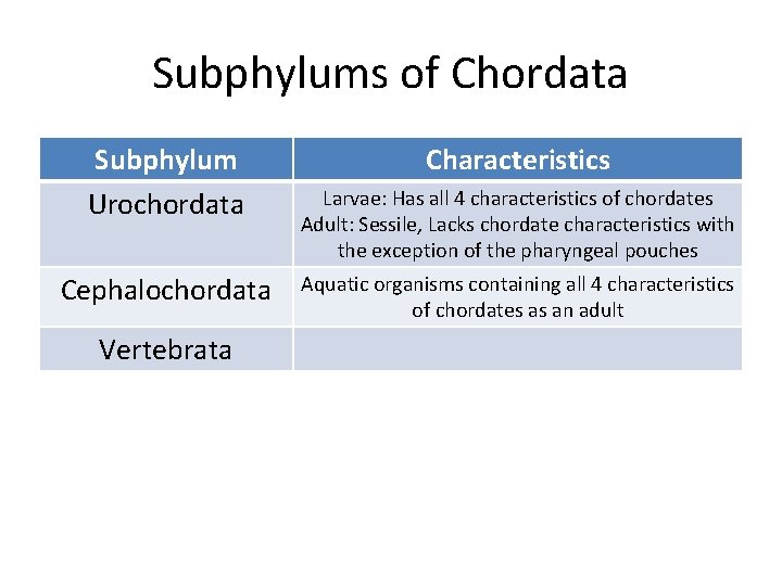 Subphylums of Chordata Subphylum Urochordata Cephalochordata Vertebrata Characteristics Larvae: Has all 4 characteristics of