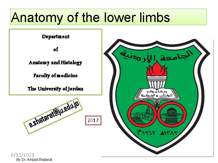 Anatomy of the lower limbs Department of Anatomy and Histology Faculty of medicine The