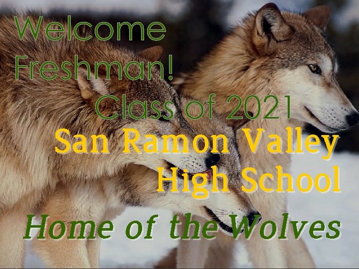 Welcome Freshman! Class of 2021 San Ramon Valley High School Home of the Wolves