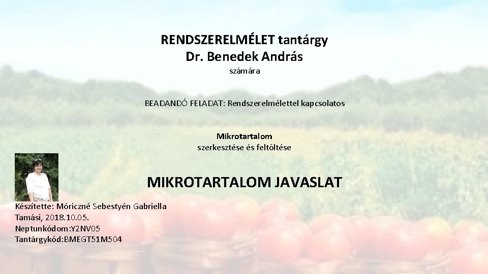 RENDSZERELMÉLET tantárgy Dr. Benedek András számára BEADANDÓ FELADAT: Rendszerelmélettel kapcsolatos Mikrotartalom szerkesztése és feltöltése