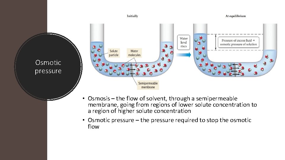 Osmotic pressure • Osmosis – the flow of solvent, through a semipermeable membrane, going