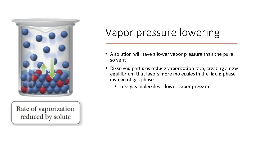 Vapor pressure lowering • A solution will have a lower vapor pressure than the