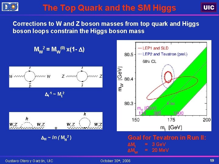 The Top Quark and the SM Higgs Corrections to W and Z boson masses