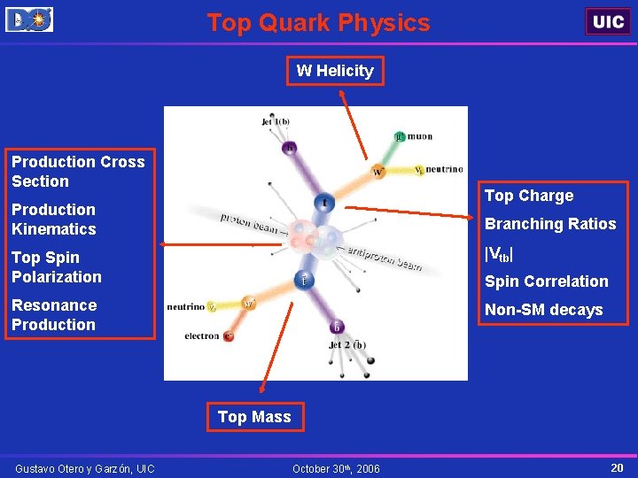 Top Quark Physics W Helicity Production Cross Section Top Charge Production Kinematics Branching Ratios