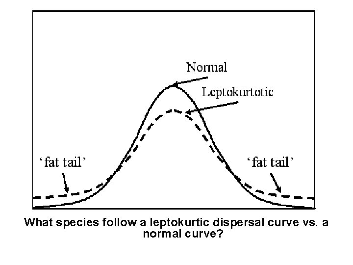 What species follow a leptokurtic dispersal curve vs. a normal curve? 