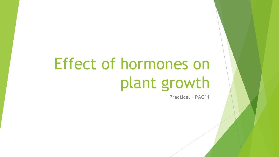 Effect of hormones on plant growth Practical PAG