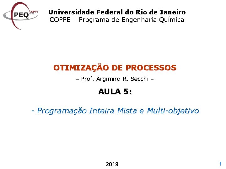 Universidade Federal do Rio de Janeiro COPPE – Programa de Engenharia Química OTIMIZAÇÃO DE